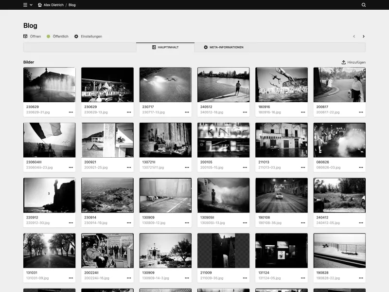 Backend screenshot of alexdietrich.at