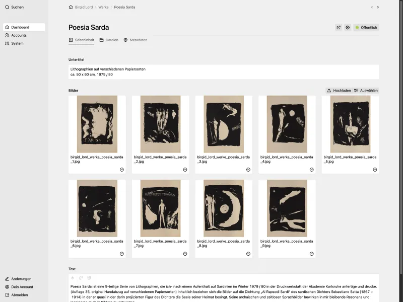 Backend screenshot of birgidlord.de