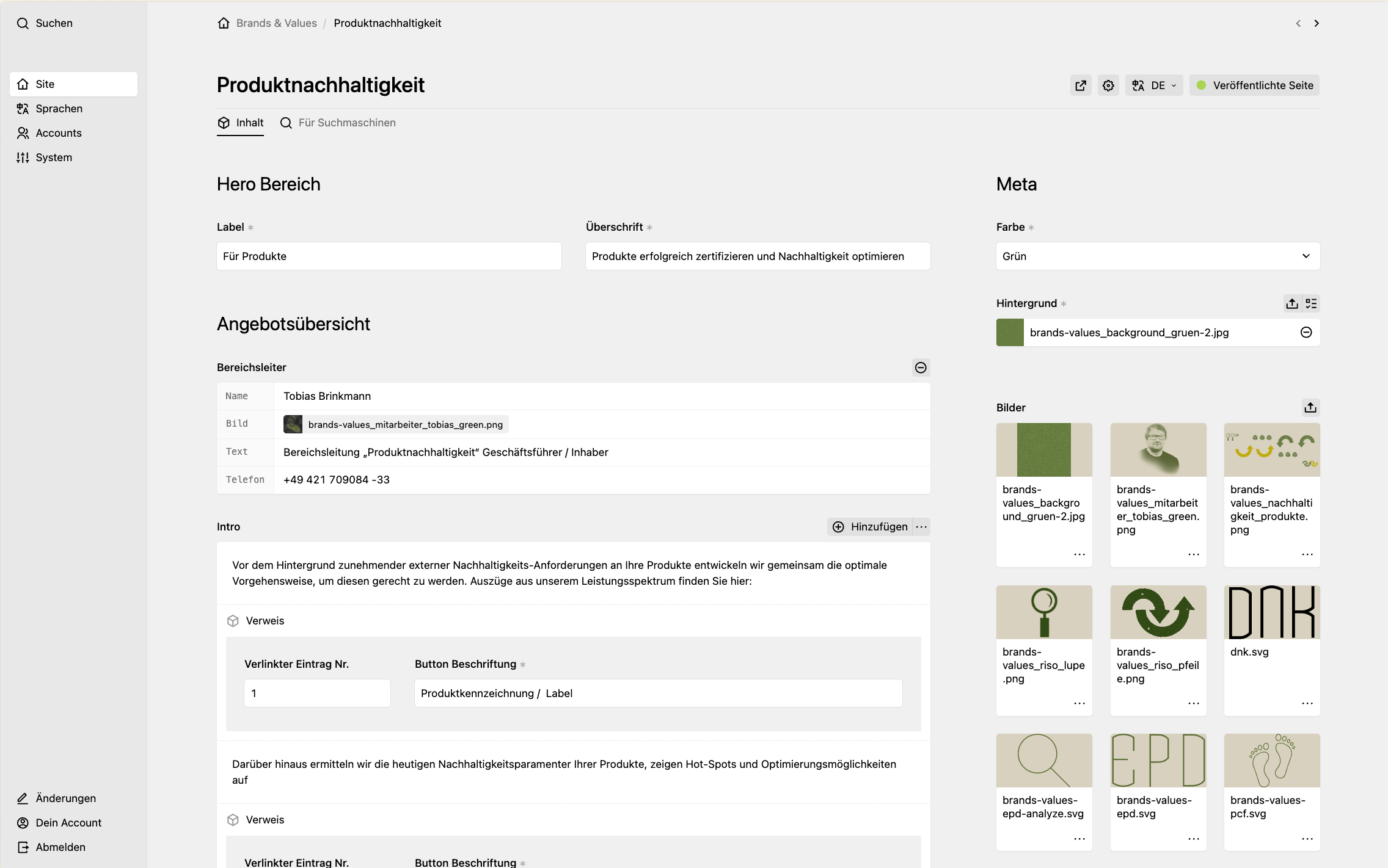Backend screenshot of brandsandvalues.com