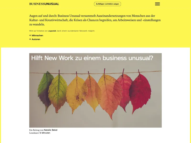 Screenshot of business-unusual.de