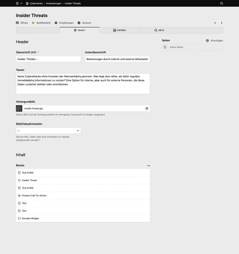Backend screenshot of cybersense.de