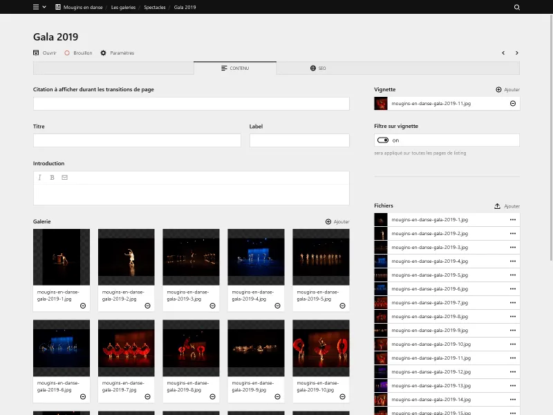 Backend screenshot of mouginsendanse.fr