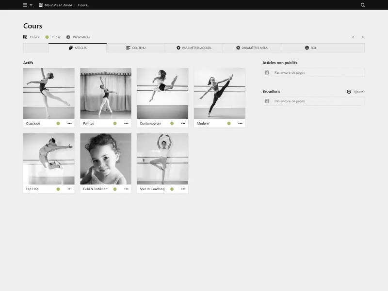 Backend screenshot of mouginsendanse.fr