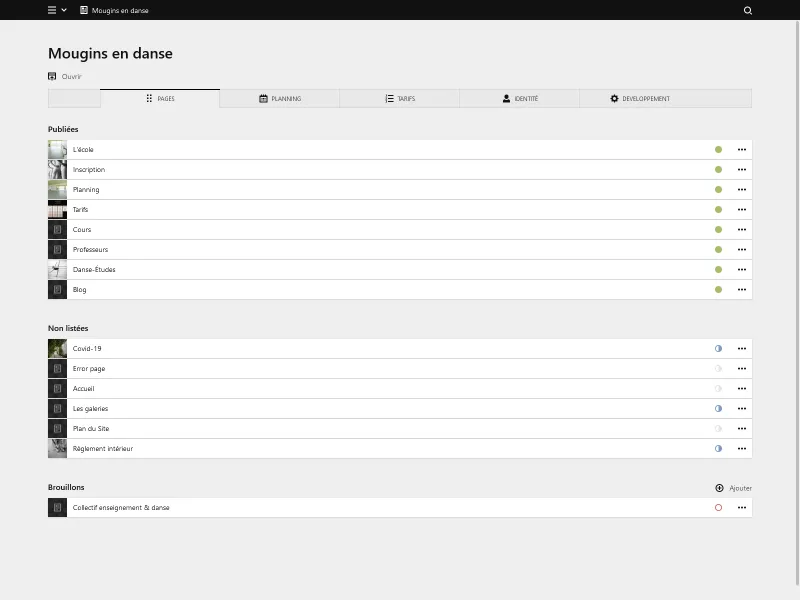 Panel screenshot of mouginsendanse.fr