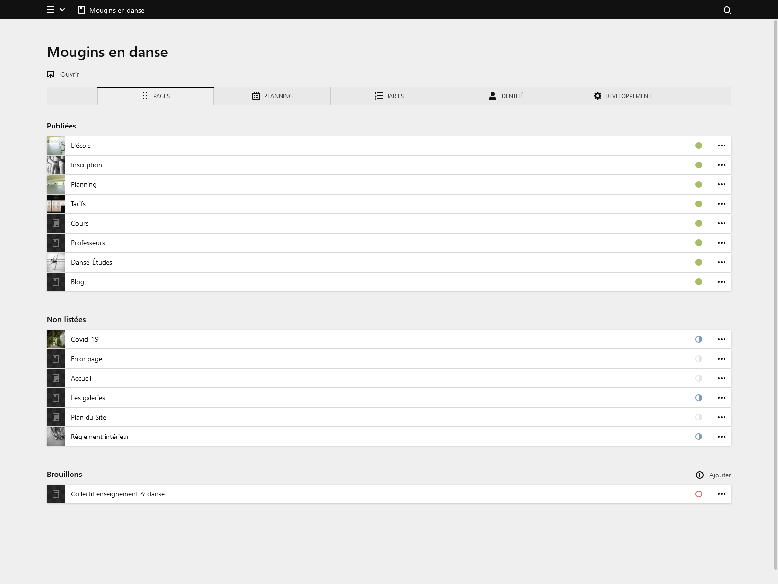 Backend screenshot of mouginsendanse.fr
