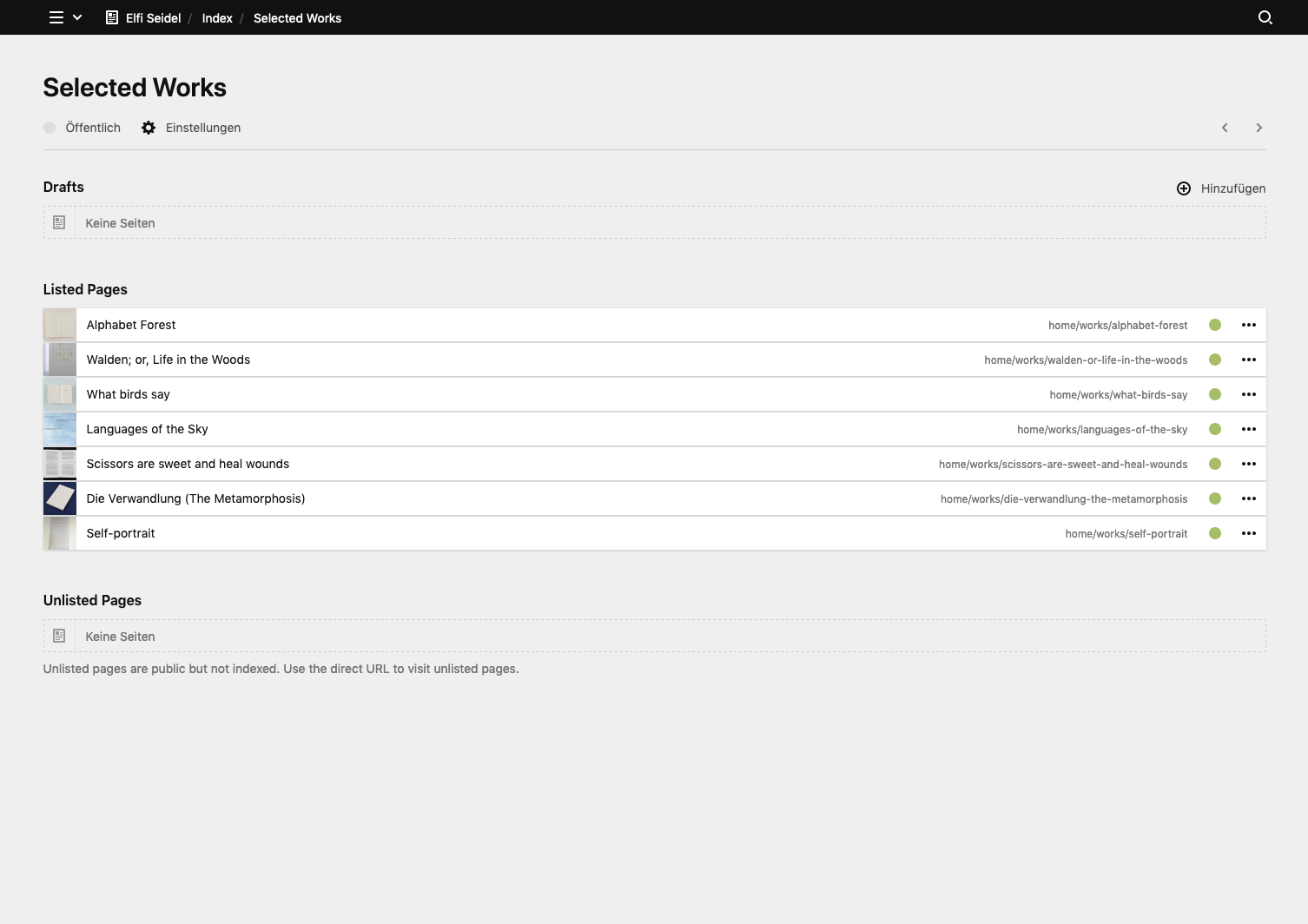 Backend screenshot of elfiseidel.com