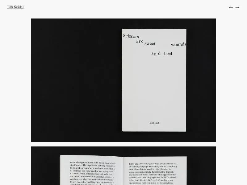 Screenshot of elfiseidel.com