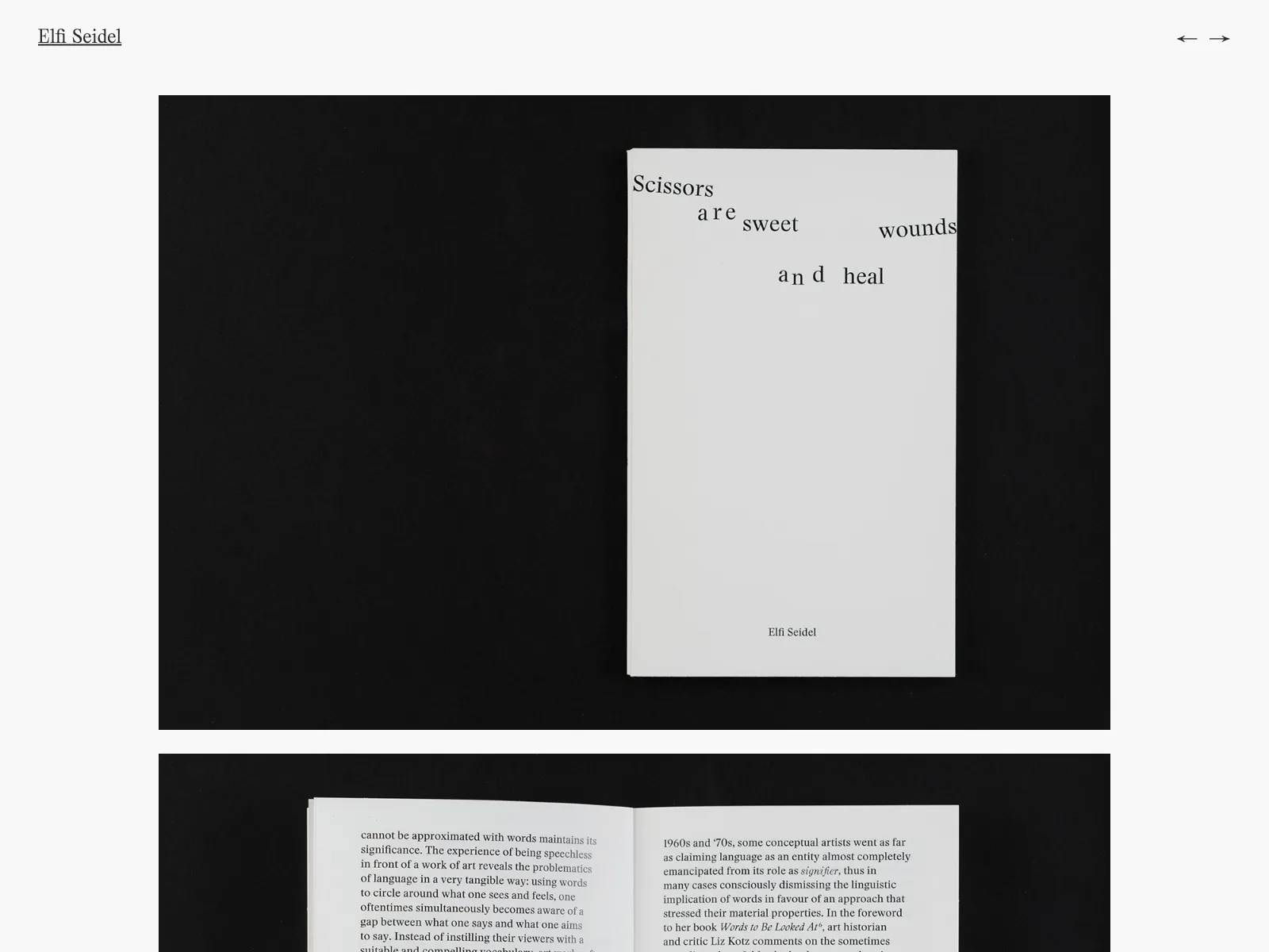 Frontend screenshot of elfiseidel.com