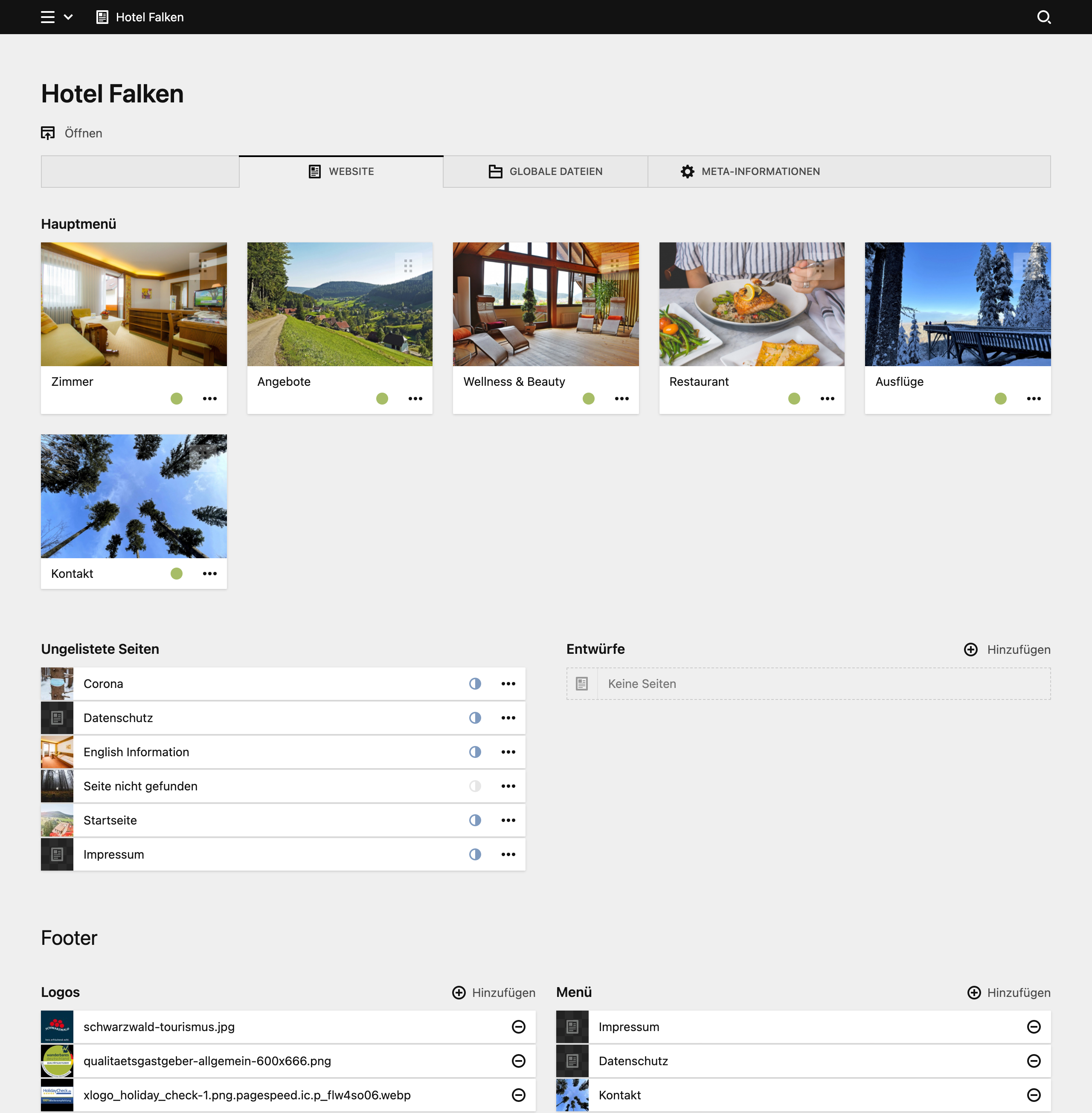 Backend screenshot of hotel-falken.de