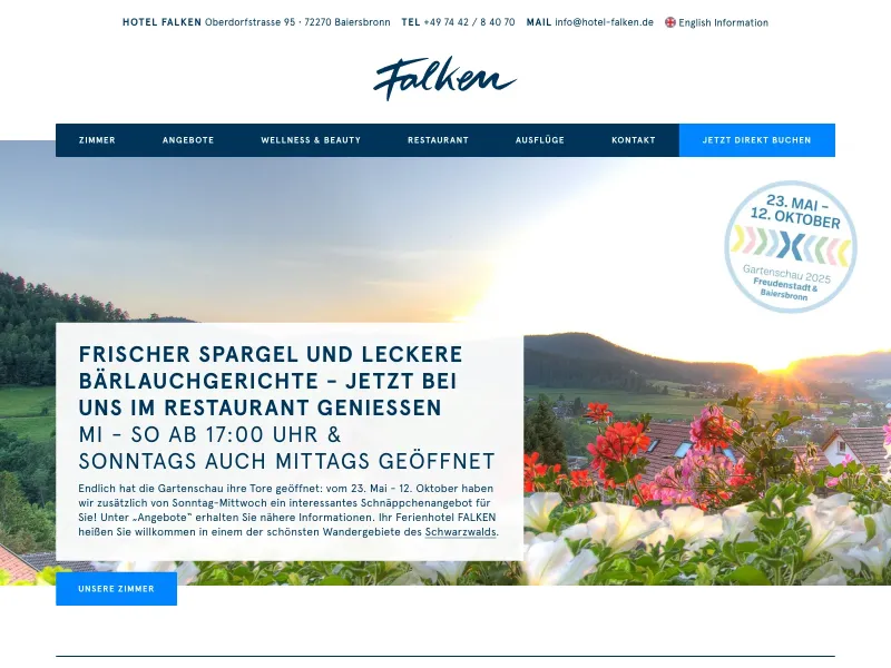 Screenshot of hotel-falken.de