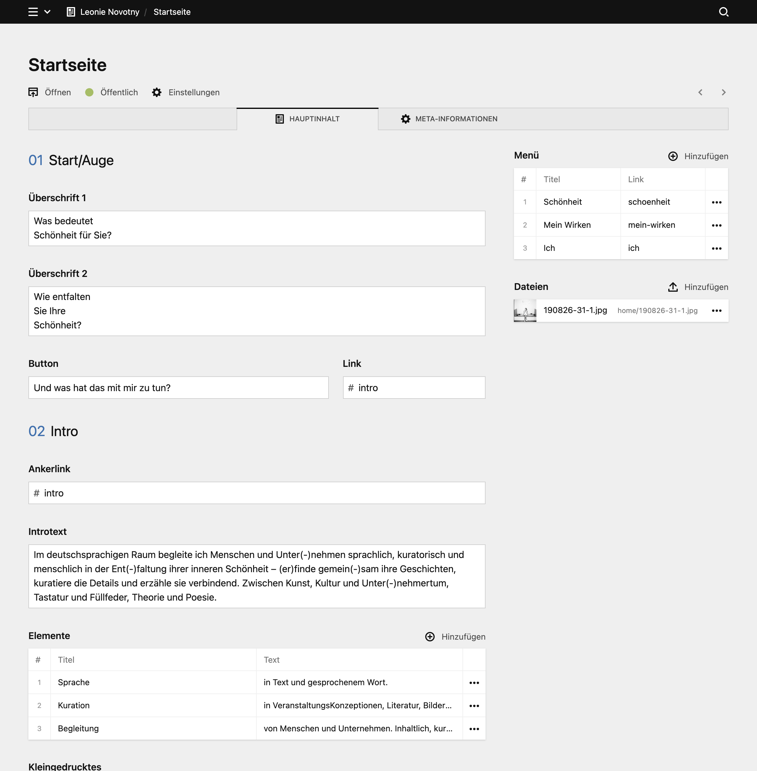 Backend screenshot of leonienovotny.com