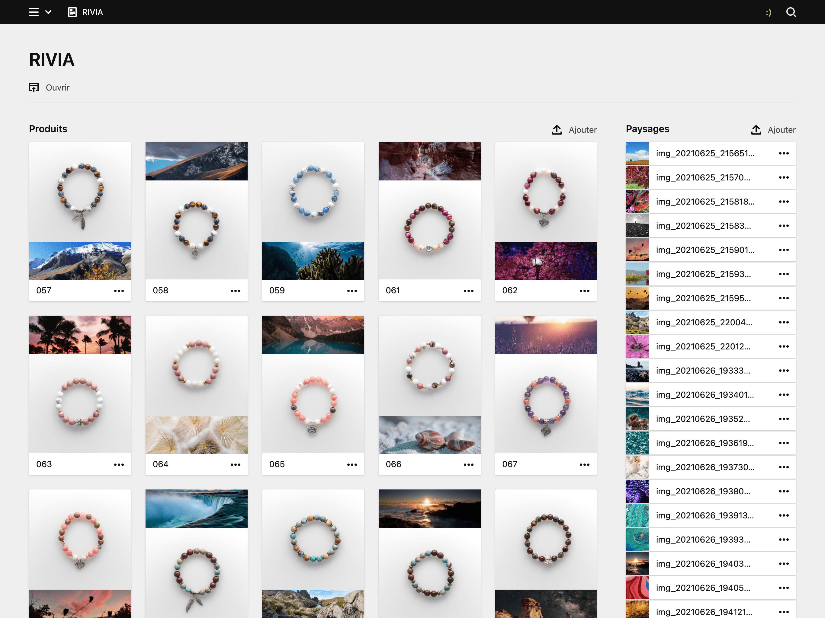 Backend screenshot of rivia.blue
