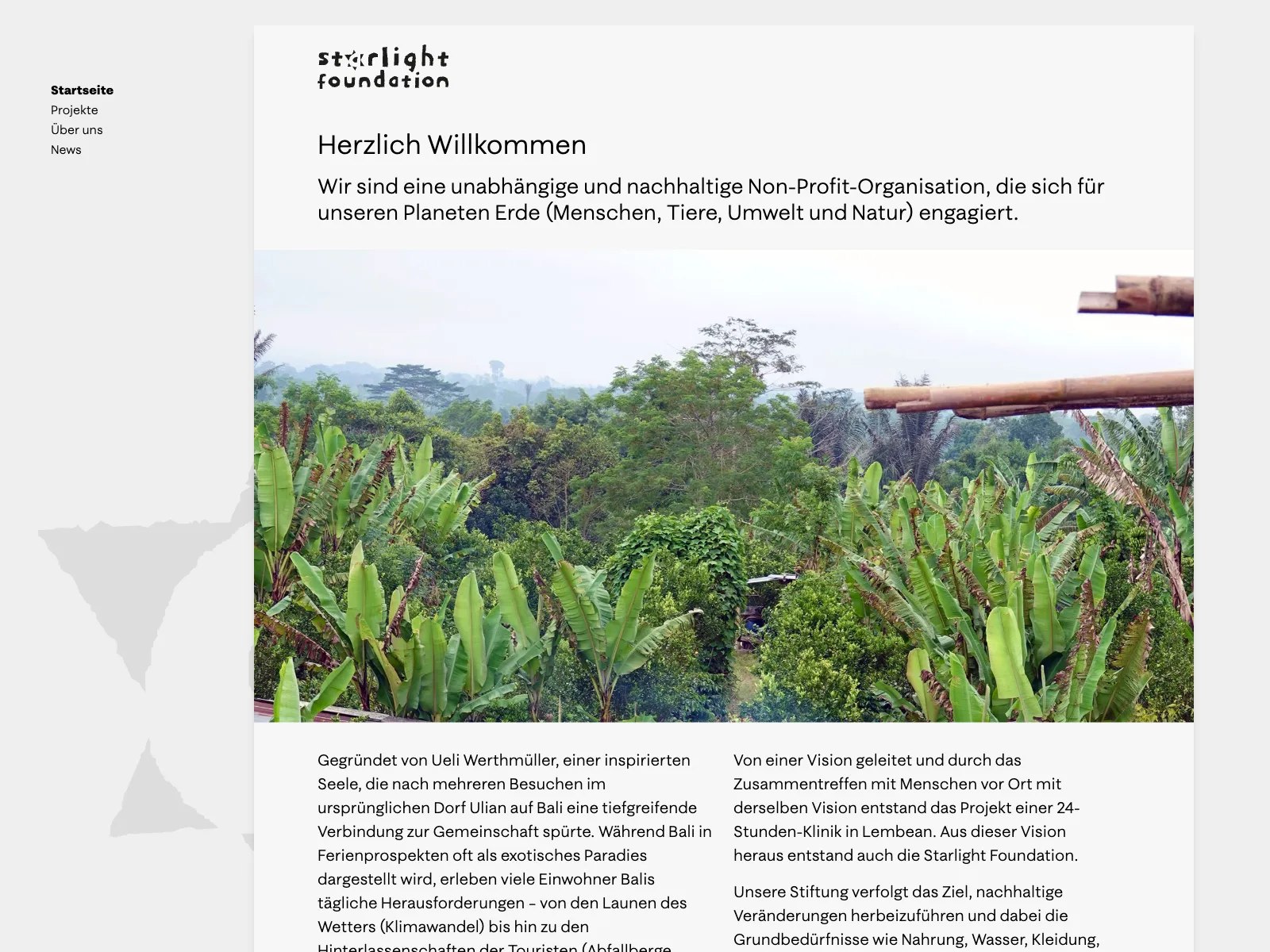 Frontend screenshot of starlightfoundation.ch
