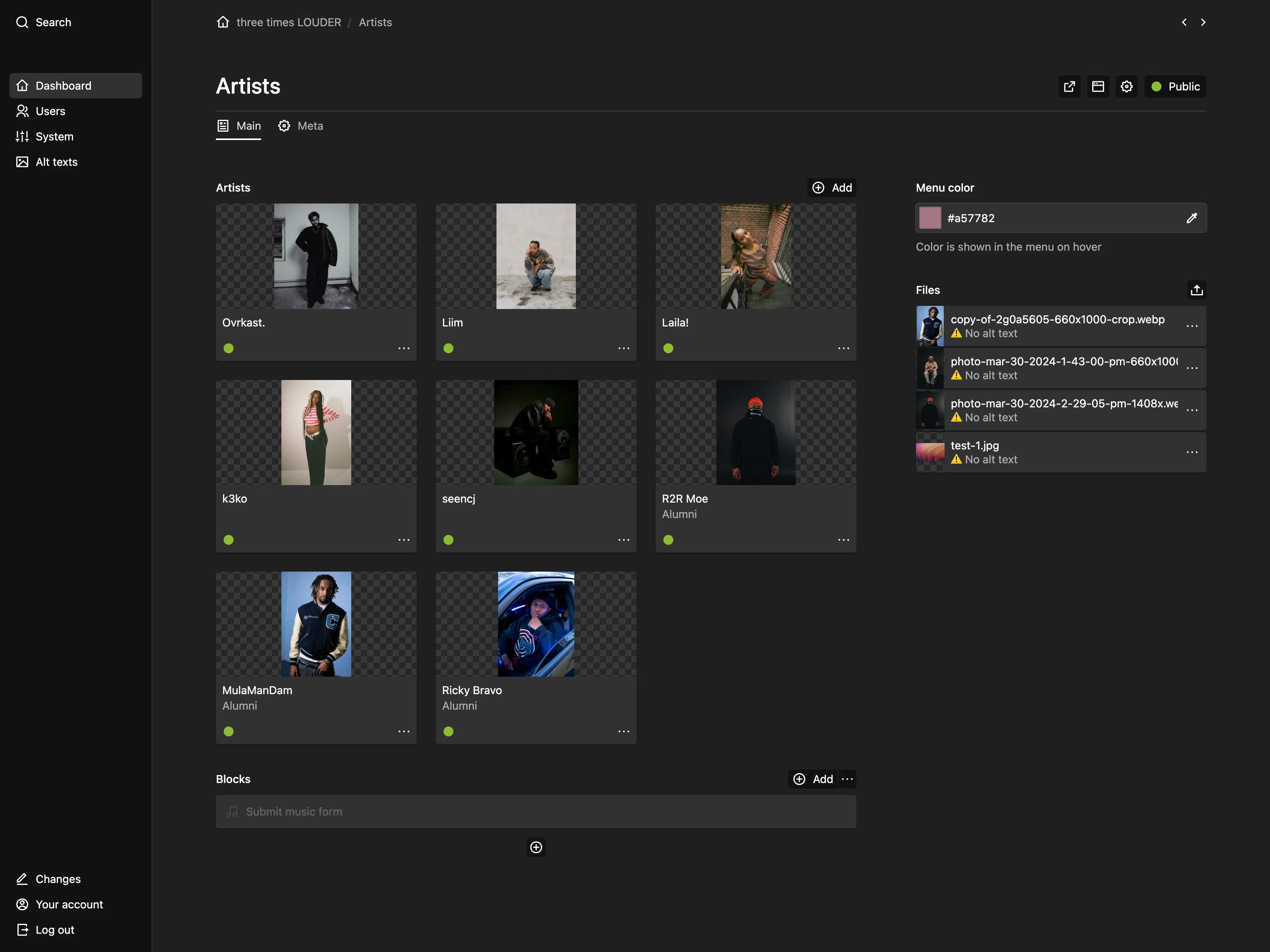 The "Artists" page showing a pages section with artist images, a blocks field and a sidebar with a "Menu color" field and some files in a section.