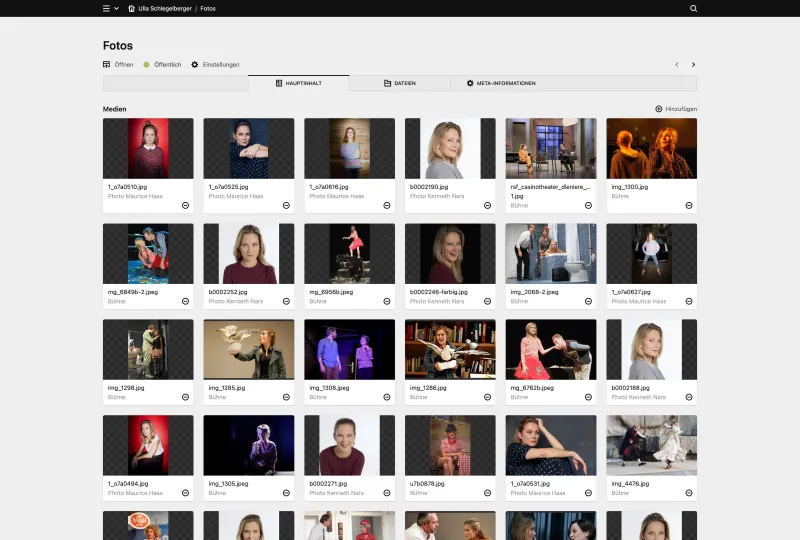 Backend screenshot of ulla-schlegelberger.ch