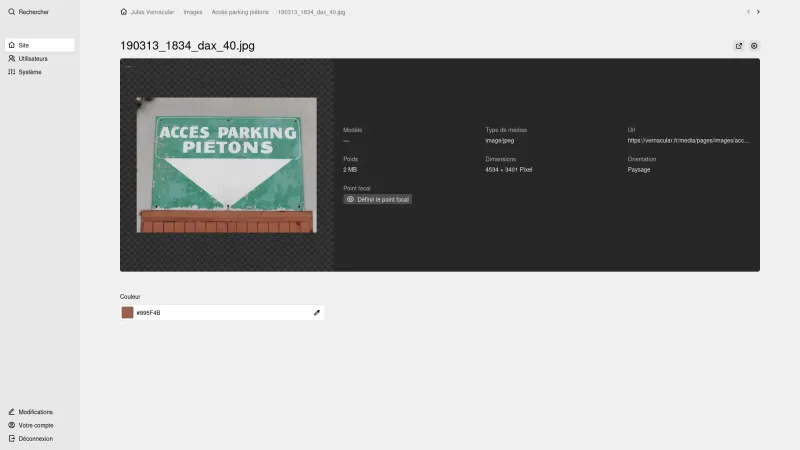 Kirby Panel file view showing an image preview with a colour field.