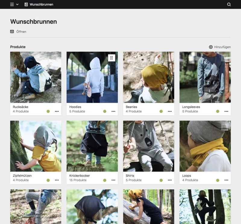 Backend screenshot of wunschbrunnen.org