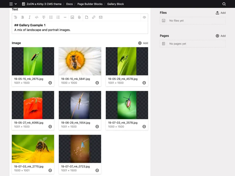 Backend screenshot of zoon.marcokoedam.com